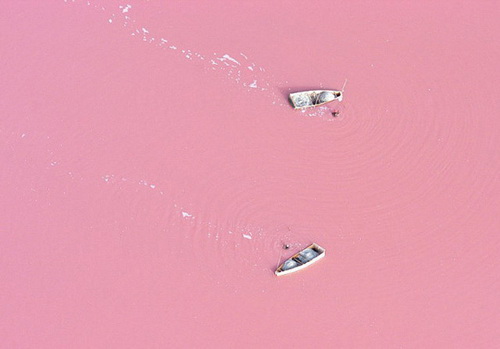 ทะเลสาบสีชมพู