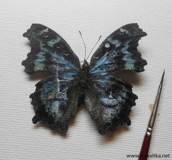 Paintings on the wings of butterflies