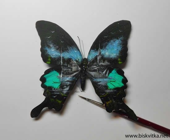 Paintings on the wings of butterflies