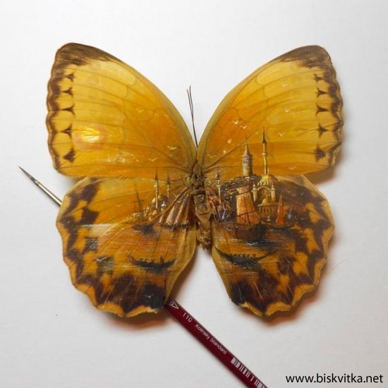 Paintings on the wings of butterflies