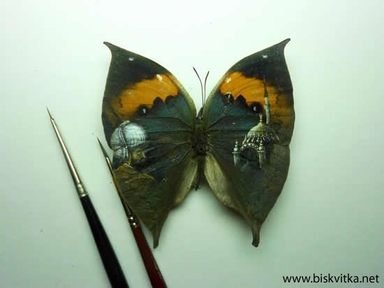 Paintings on the wings of butterflies