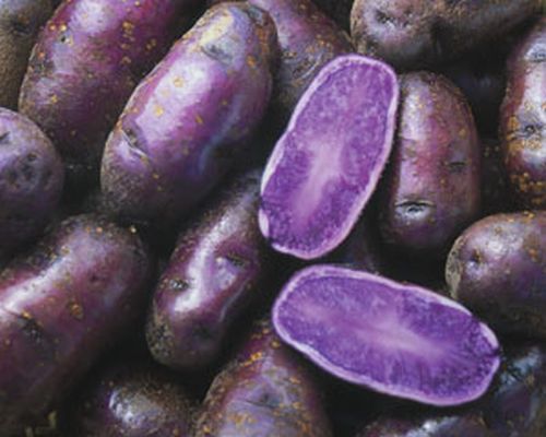 Purple Sweet Potatoes