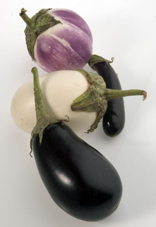 Eggplants