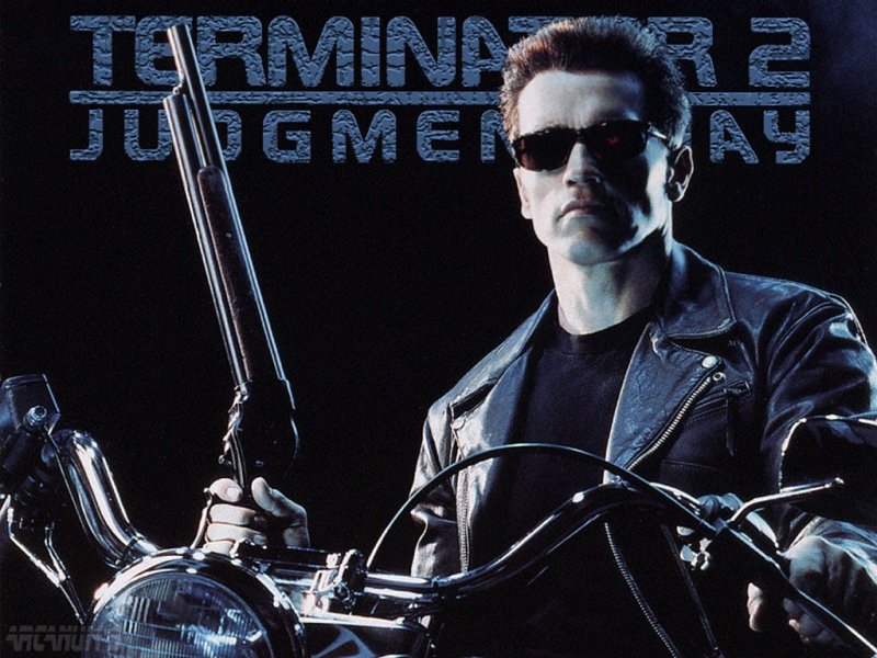 5. Terminator