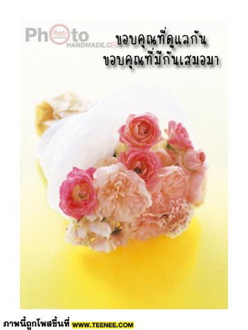 โปสการ์ด