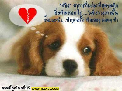 พจนานุกรมของหัวใจ(ซ้ำหรือเปล่าไม่รู้นะครับ)