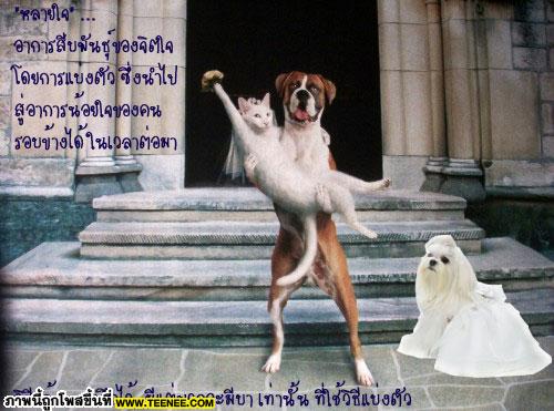 พจนานุกรมของหัวใจ(ซ้ำหรือเปล่าไม่รู้นะครับ)