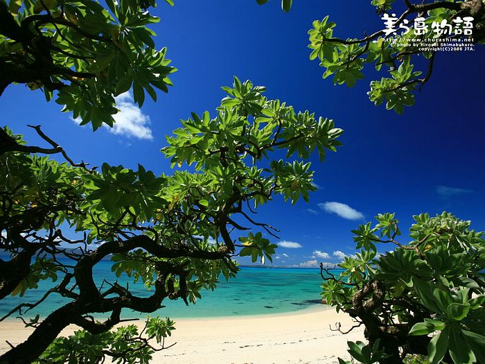 Okinawa Beach @ Japan #1