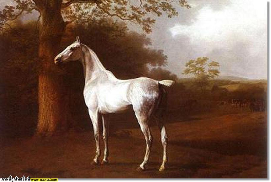 white Horse