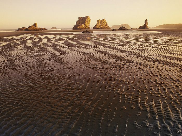 Rippled Beach at Sunrise Bandon Beach State Park Oregon