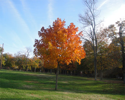 Autumn in Smtihtown, NY