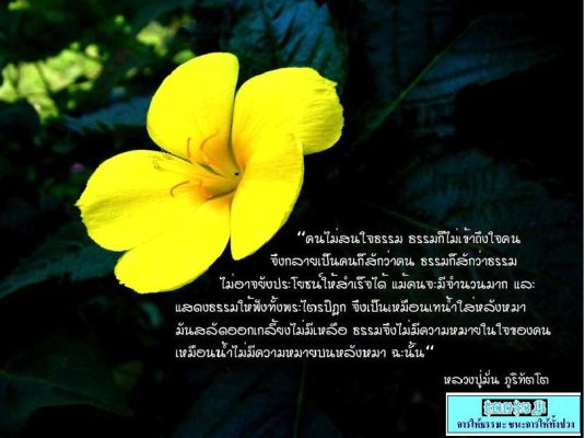 ข้อคิด คติธรรม จาก 11 เกจิอาจารย์