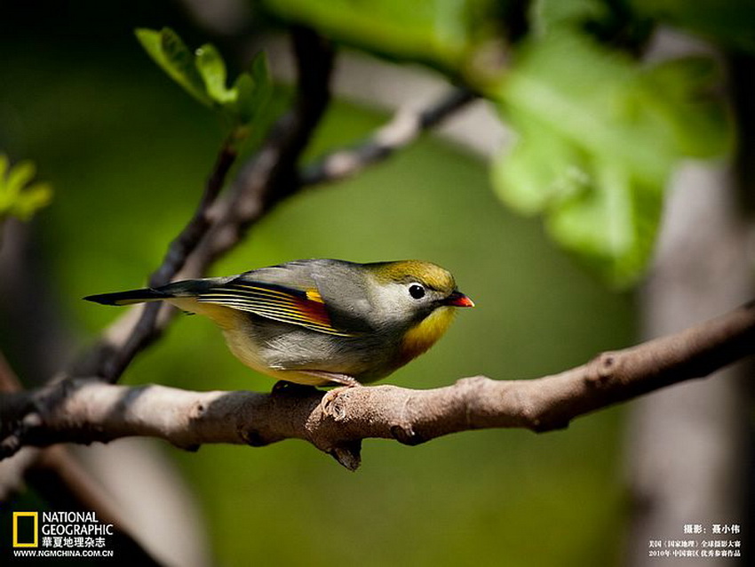 ภาพถ่ายสวยๆจาก...National Geographic