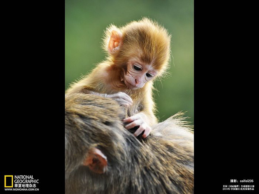 ภาพถ่ายสวยๆจาก...National Geographic