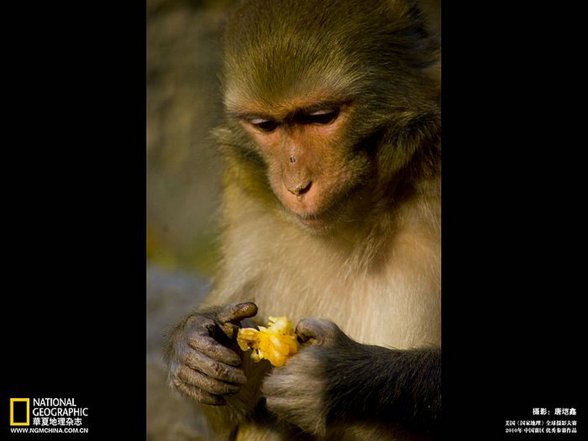 ภาพถ่ายสวยๆจาก...National Geographic