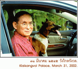 ภาพที่ประทับใจของปวงชนชาวไทย 