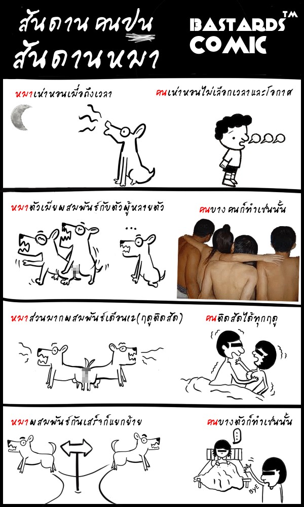 ● สันดานคน ... ปนสันดานหมา ● 