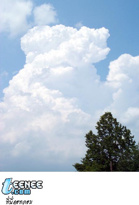 เมฆคิวมูโลนิมบัส(เมฆฟ้าคะนอง) สูง 500-20000 เมตร ฝนหนัก หิมะ หรือลูกเห็บตก