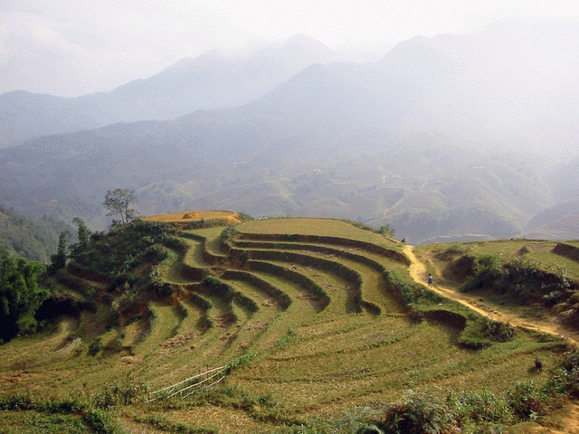 Sapa Vietnam - The city in the foggy 