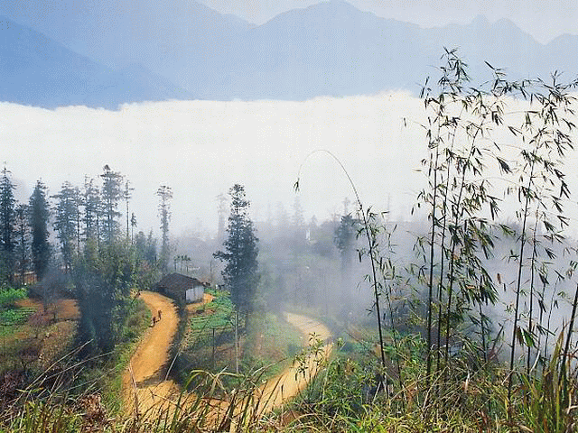 Sapa Vietnam - The city in the foggy 