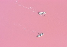 ทะเลสาบสีชมพู