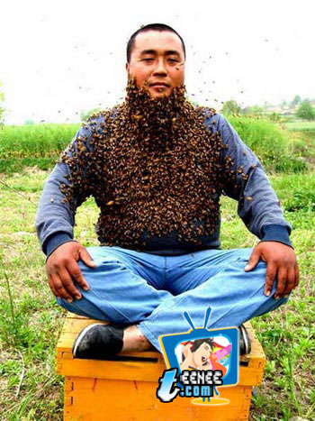 โอ้โห มนุษย์ผึ้ง สุดยอดทรหด