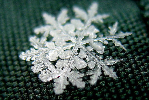 เกล็ด..หิมะ (Snowflakes)