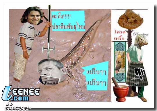 ตะลึงการค้นพบปลาตีนสายพันธุ์ใหม่