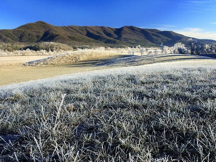 Frosty Morning Cades Cove Great Smoky Mountains National Park Tennessee