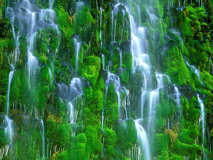 Mossbrae Falls California