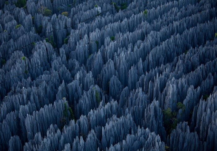 ป่าหินที่มาดากัสการ์ ชีวิตที่อยู่บนความแหลมคม