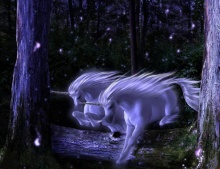 Unicorn.. ม้ามีเขาในเทพนิยาย