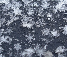 เกล็ด..หิมะ (Snowflakes)