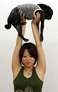 Dog Yoga เมืองไทยมีมั้ยนะ