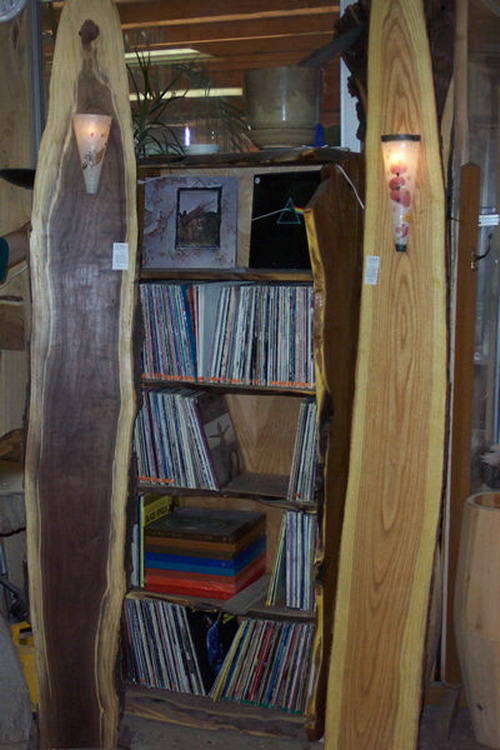 ~+Weird Bookshelves+~