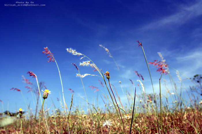 ภาพสวยๆ..กับ..ข้อความดีๆ