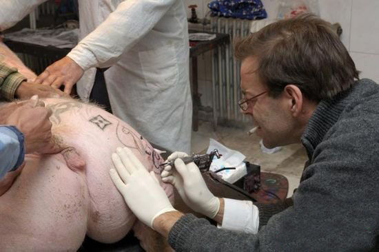 ~~~Pig Tattoos~~~  (2)