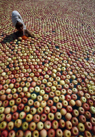 แอปเปิ้ล20,000 ลูก  เพื่อสปาบำบัด  ประเทศมาเลเซีย 