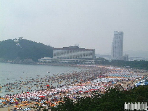 หาดคนล้น...ที่เกาหลี 