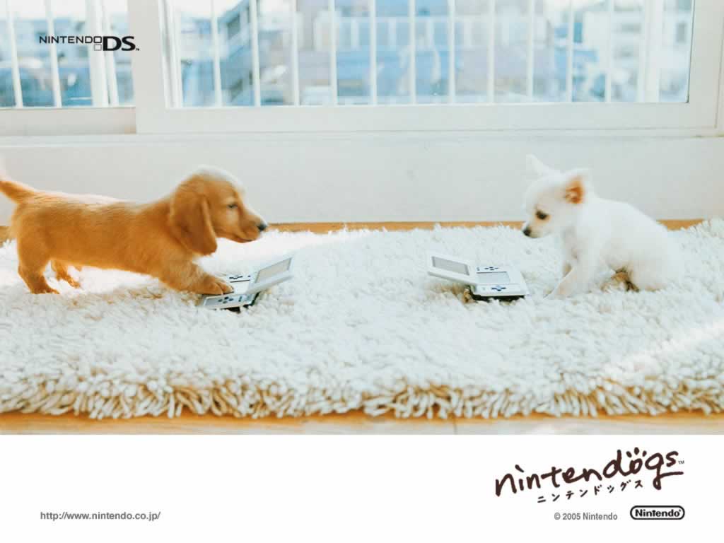 - Lovely Nintendogs -