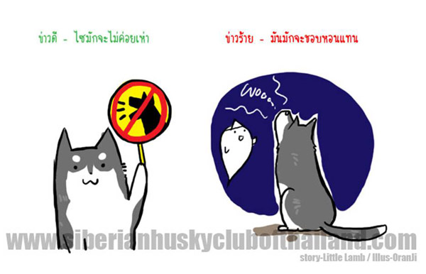 นิสัยไซบีเรียน (เวอร์ชันการ์ตูน) น่ารักมากๆ‏