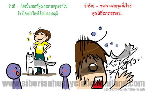 นิสัยไซบีเรียน (เวอร์ชันการ์ตูน) น่ารักมากๆ‏