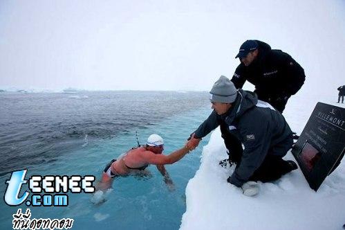 ว่ายน้ำในขั้วโลกเหนือ