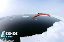 ว่ายน้ำในขั้วโลกเหนือ