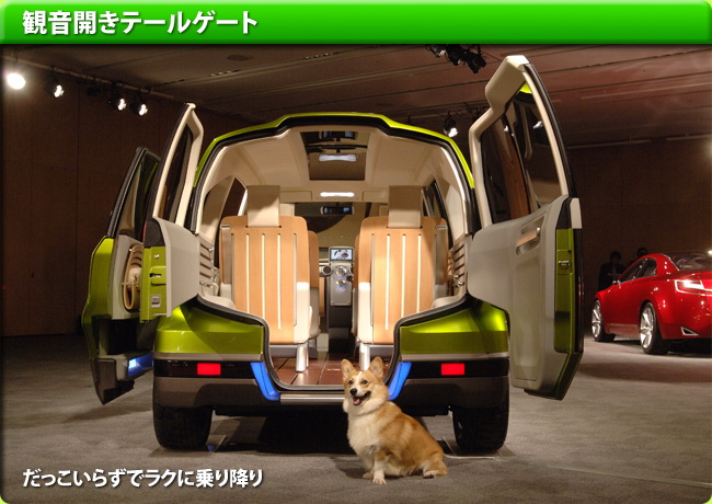 CAR...for Dogs. ~ ~ ~(1)
