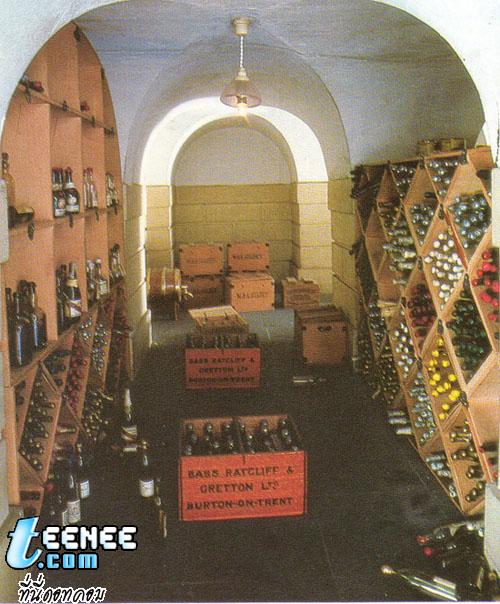 Wine Celler with real bottles of wine 