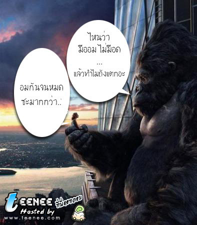 ใครว่า คิงคอง ไม่มีอารมณ์ขำขัน