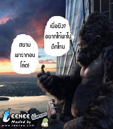 ใครว่า คิงคอง ไม่มีอารมณ์ขำขัน