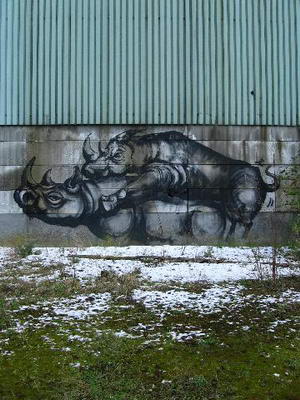 Animal Graffiti