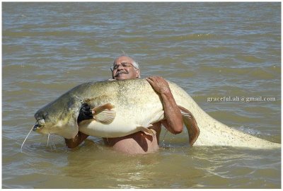 Unbelievable Pictures Of Gaint Fish